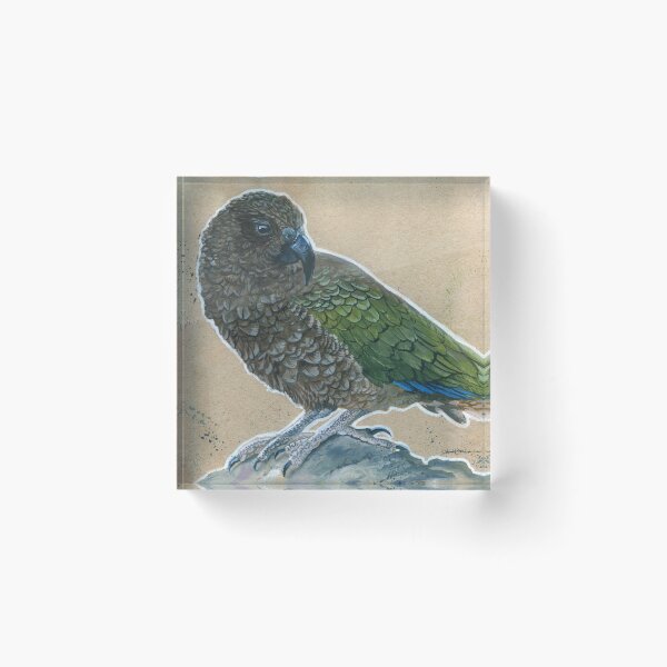 Aperçu de l'œuvre Oiseaux NZ: Kea créée et vendue par the artings of me.