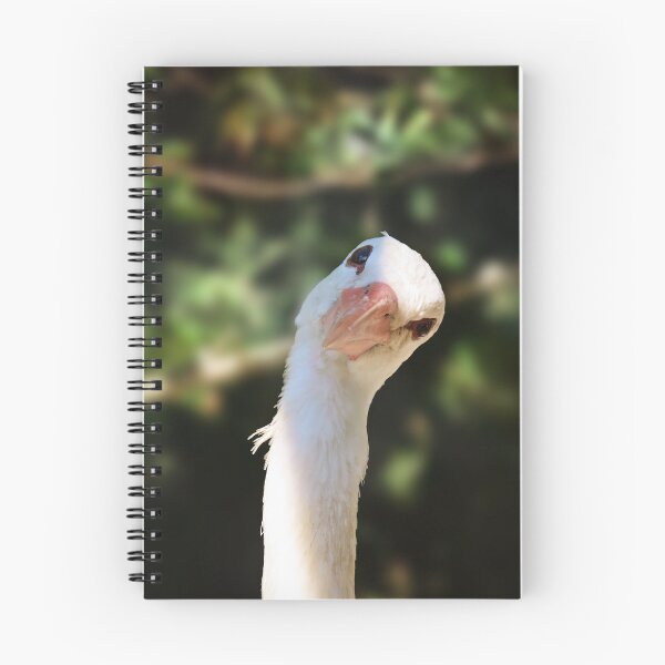 Item preview, Curious stork designed and sold by WildEncounters.