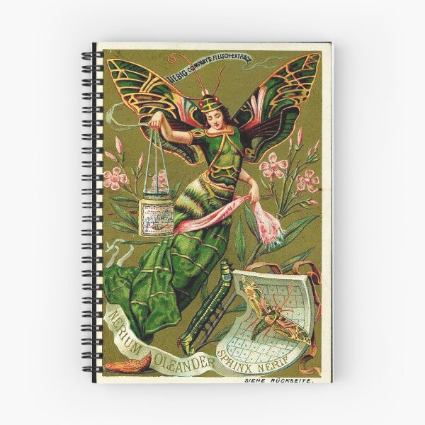 Item preview, HD. The butterfly girl II, by Louis Hingre . Art Nouveau style wonderful design 1900 designed and sold by MINDTHECHERRY.
