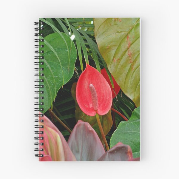 Item preview, Anthurium Study  designed and sold by Robert Meyers-Lussier.