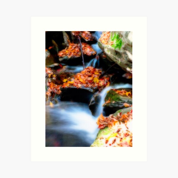 Fall Leaves and Cascades Art Print