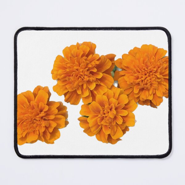 Item preview, Group of Burnt Orange Mum Flowers designed and sold by RPoli3.