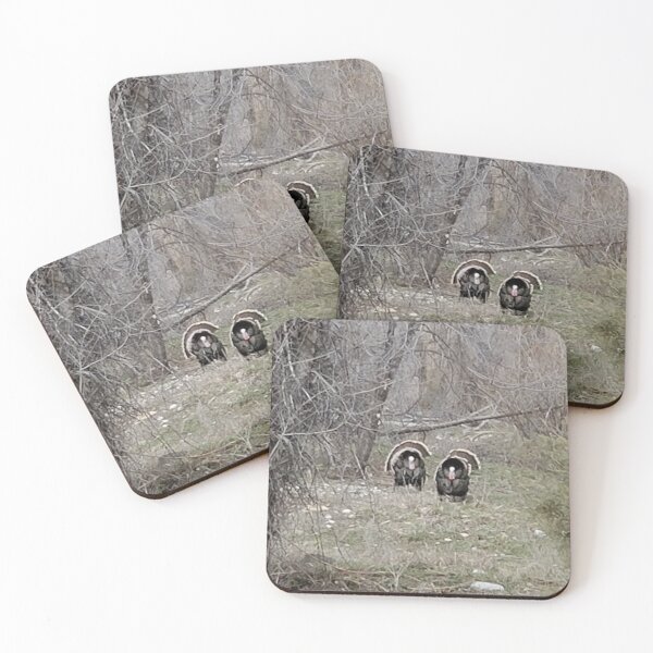 Item preview, Toms  designed and sold by Paszekphotos.