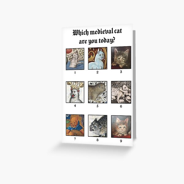 Item preview, Which medieval cat are you today? designed and sold by coffeewithmilk2.