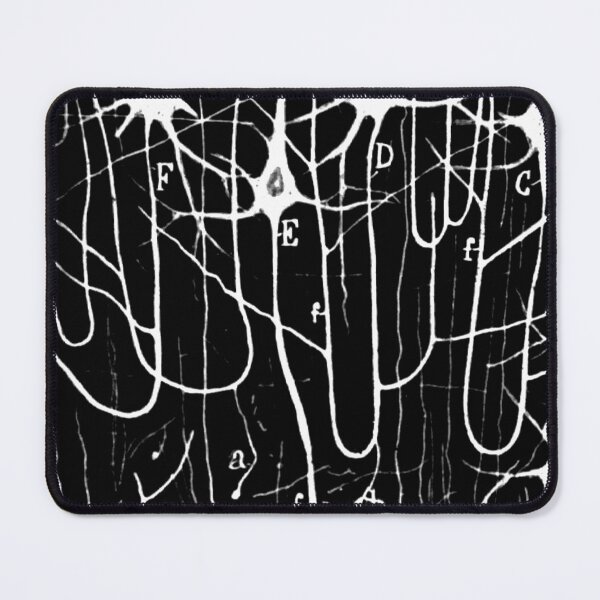 Item preview, Neuron Pyramidal Cells Drawing by Santiago Ramon Y Cajal Inverse designed and sold by ScienceSource.