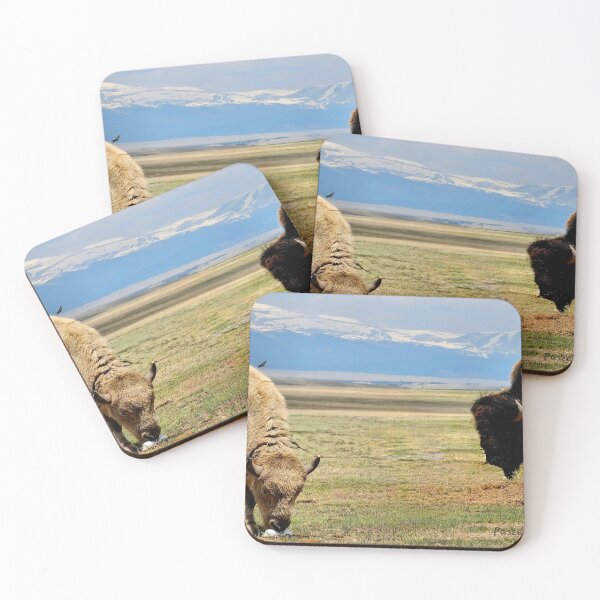 Item preview, Bison  designed and sold by Paszekphotos.
