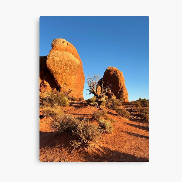 Item preview, Desert Tree at Golden Hour designed and sold by Amy Farley.