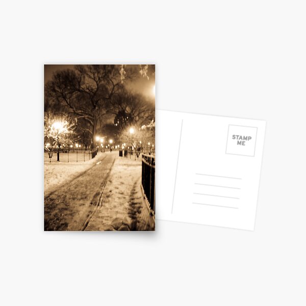 Winter Wonderland Postcard