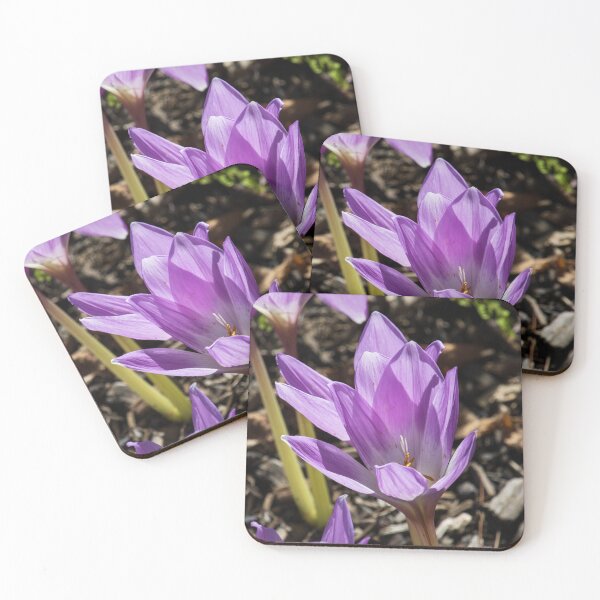 Item preview, Purple Crocuses designed and sold by Tim Dusenberry.