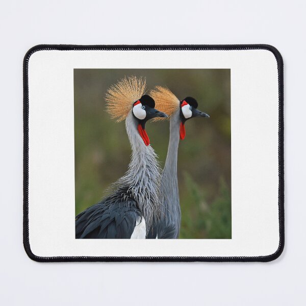 Item preview, A pair of Crowned Cranes designed and sold by Anthony Goldman.