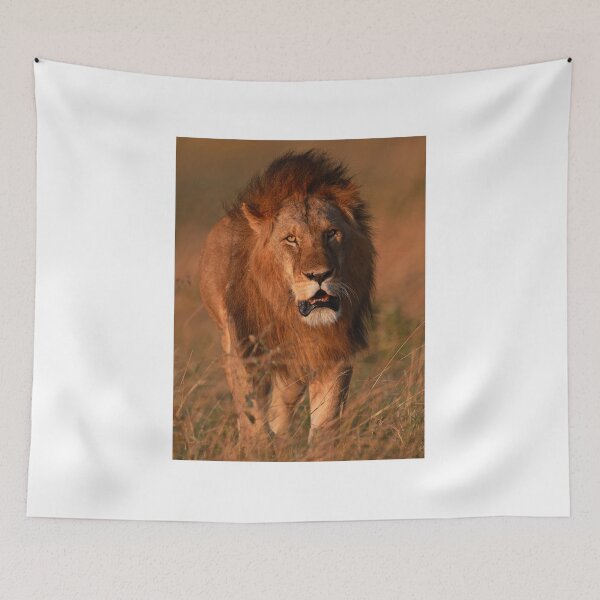Item preview, male lion designed and sold by Anthony Goldman.