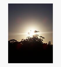Shining Through Photographic Print