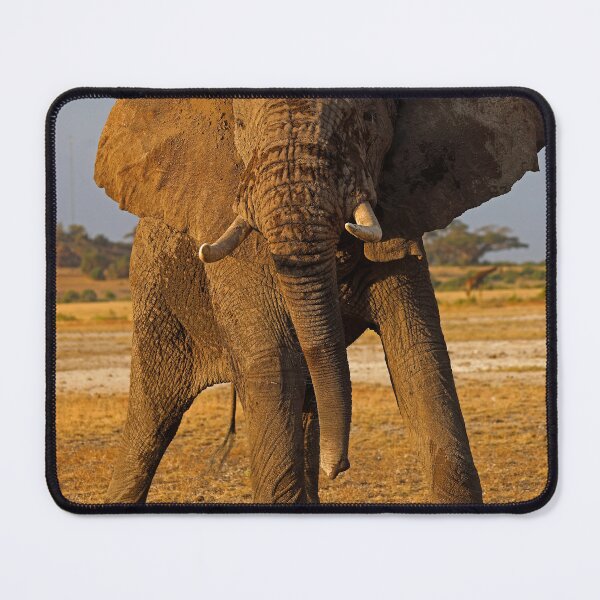 Item preview, African Elephant designed and sold by Anthony Goldman.