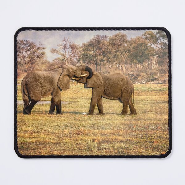 Item preview, Playing Elephants Sketch designed and sold by Kay Brewer.