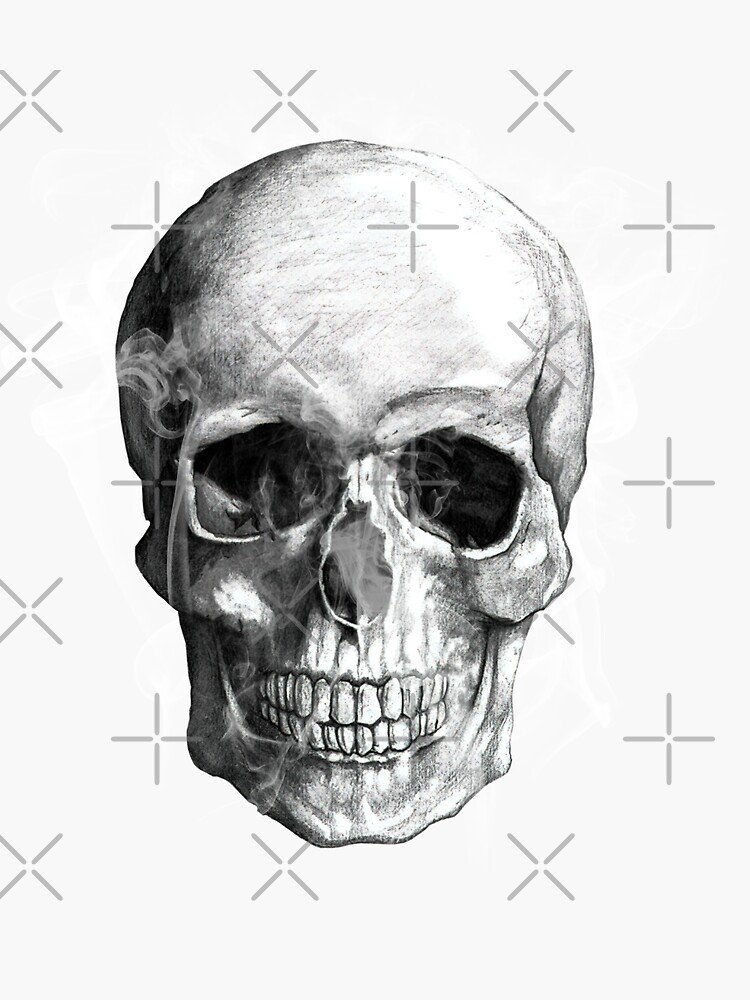 12 Human Skull Drawing | Human skull drawing, Skull drawing, Skull drawing  sketches