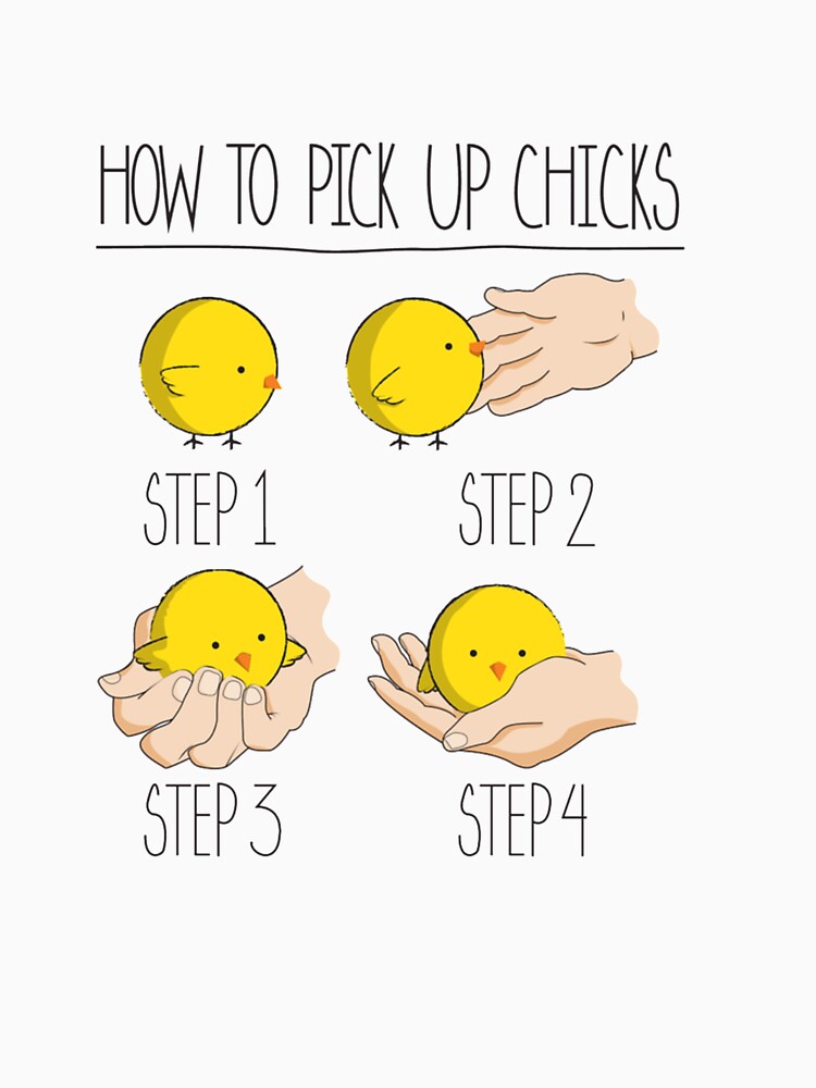 How To Pick Up Chicks Funny Meme T Shirt By Unhearddesigns Redbubble 