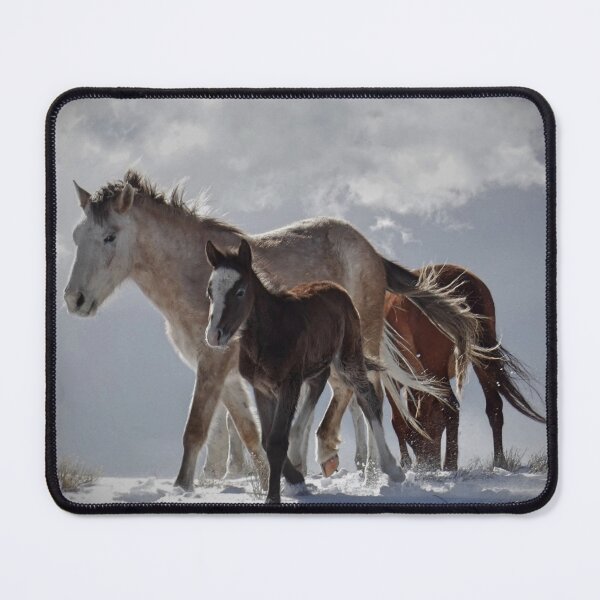 Item preview, Power of Survival designed and sold by Jeanne Nations.