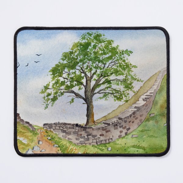 Item preview, Sycamore Gap, Northumberland, England. designed and sold by John Ray.