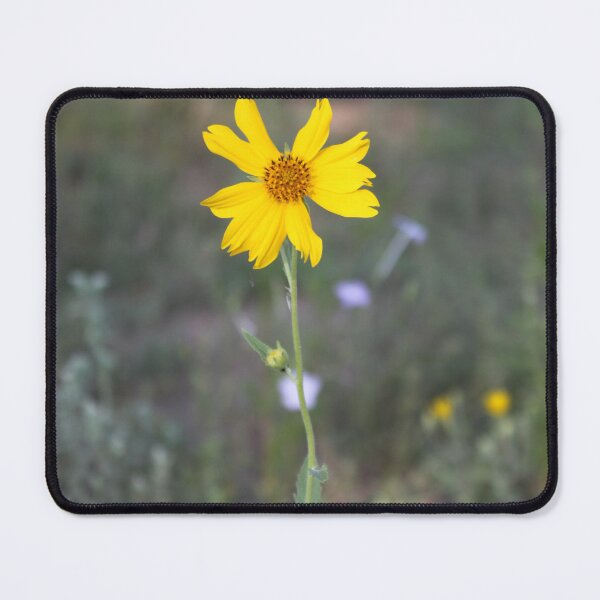 Item preview, Imperfection designed and sold by bbstills.