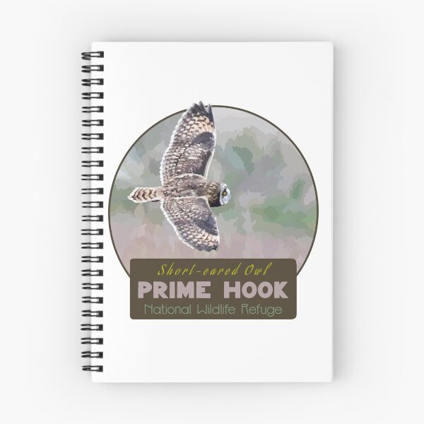 Item preview, Birds and Parks: Prime Hook National Wildlife Refuge/Short-eared Owl designed and sold by LauraWolfArtist.