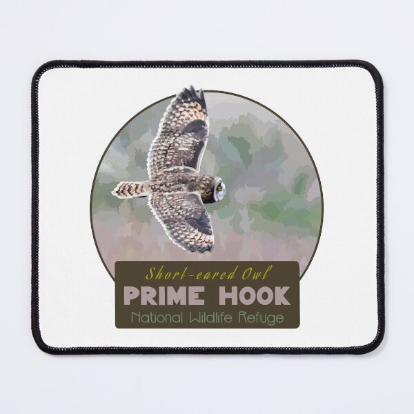 Item preview, Birds and Parks: Prime Hook National Wildlife Refuge/Short-eared Owl designed and sold by LauraWolfArtist.