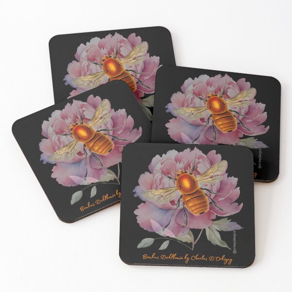 Item preview, Bombus Dahlbomii by Charles D'Orbigny designed and sold by smirey designs.