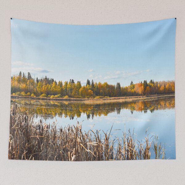 Item preview, Lake with Autumn Tree Reflections designed and sold by Amy Mitchell.