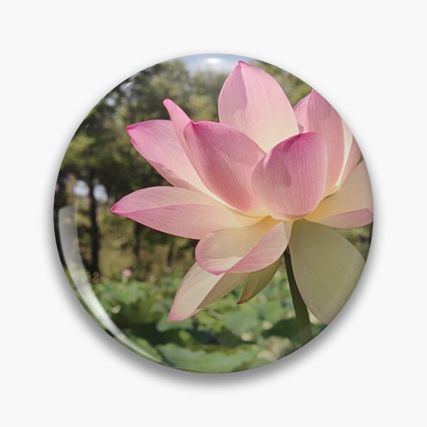 Item preview, Lotus flower  designed and sold by lex  Colston.