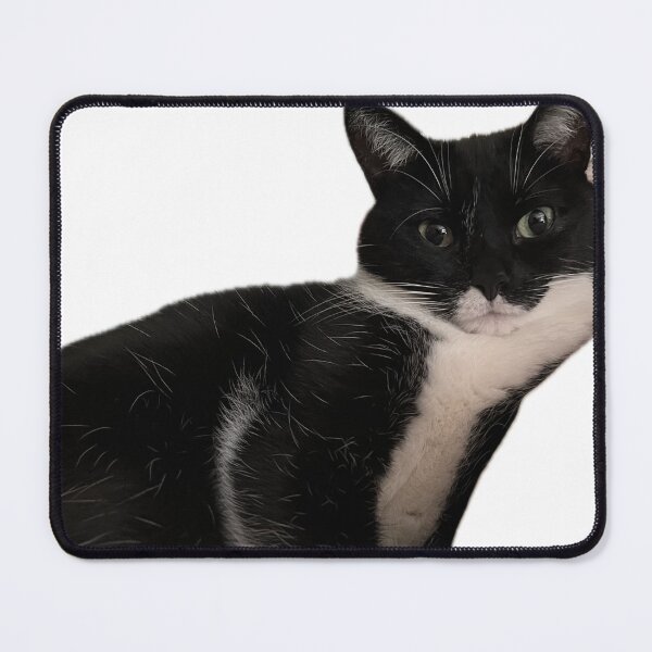 Item preview, kitty kat designed and sold by hazelsnuts15.