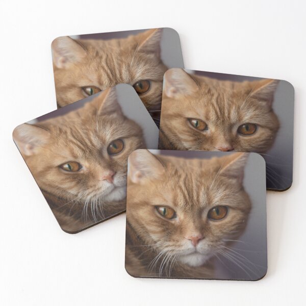 Item preview, Cute ginger cat designed and sold by LiubovAvdeeva.