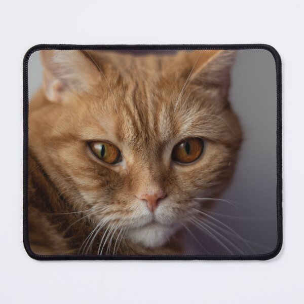 Item preview, Cute ginger cat designed and sold by LiubovAvdeeva.