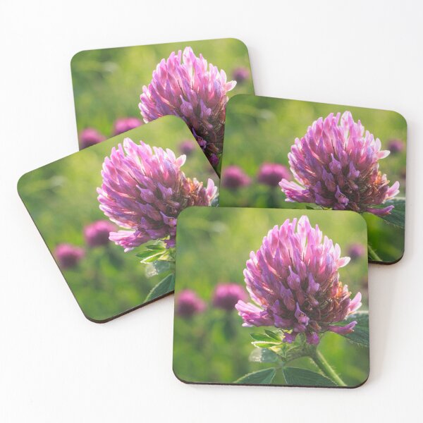 Item preview, Petals in Sunlight Capture Red Clover's Elegance V1 designed and sold by Family Journey with God.