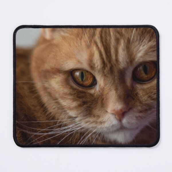 Item preview, Mr. Whiskers designed and sold by LiubovAvdeeva.
