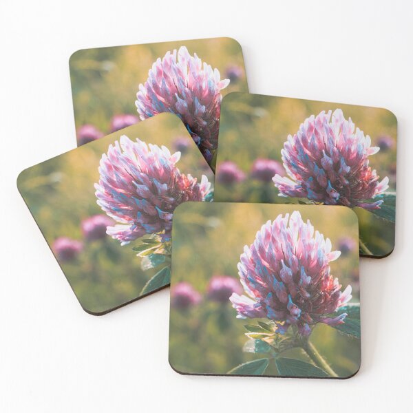 Item preview, Petals in Sunlight Capture Red Clover's Elegance V2 designed and sold by Family Journey with God.