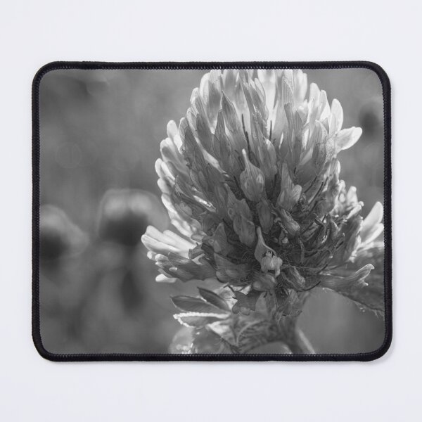 Item preview, Petals in Sunlight Capture Red Clover's Elegance V4 designed and sold by Family Journey with God.