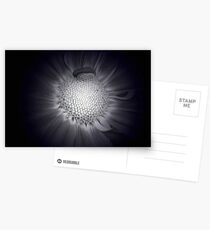 B/W Mum's The Word Postcards