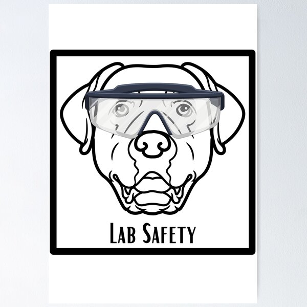 Discover more than 132 lab safety poster drawing super hot