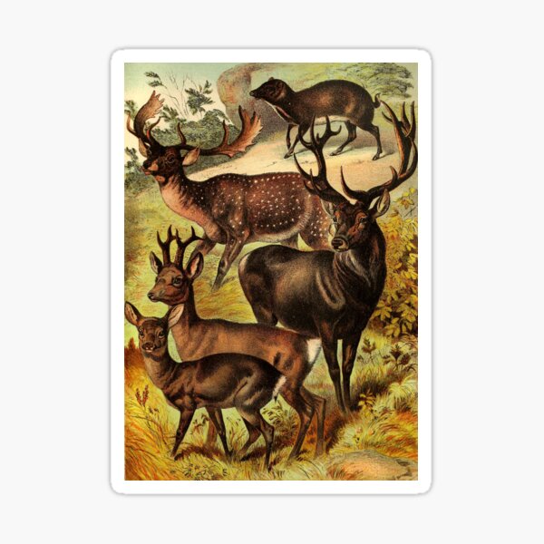 Item preview, Roebuck Fallow Mouse Deer and Stag in Grass Vintage Chromolithograph Painting Animal Lover Gift designed and sold by ElegantTeaTime.