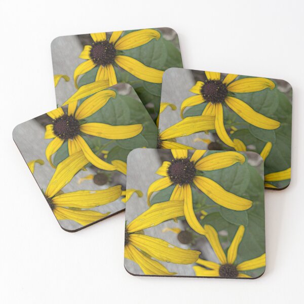Item preview, Yellow Cone Flower Close Up designed and sold by bloomingvine.