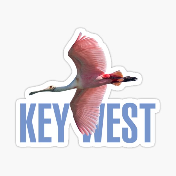 Item preview, Key West Florida Roseate Spoonbill Design designed and sold by Futurebeachbum.