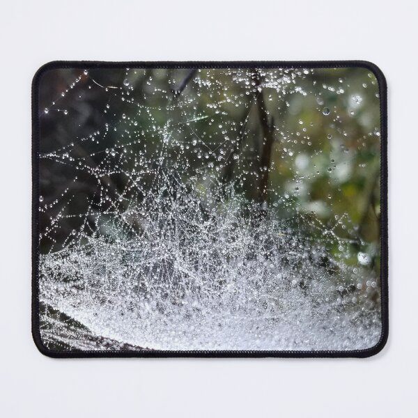 Item preview, Dew Covered Spider Bowl designed and sold by bjtomiko.