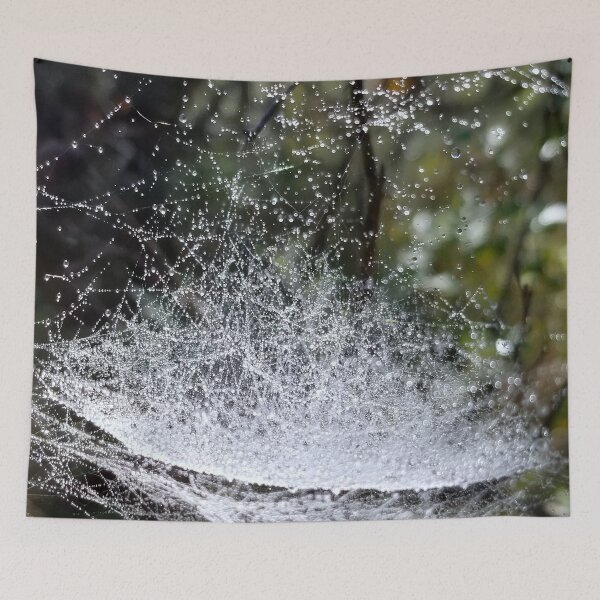 Item preview, Dew Covered Spider Bowl designed and sold by bjtomiko.