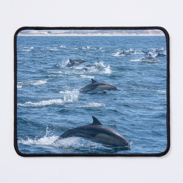 Item preview, Delfines en la Bahía de Monterey 2 designed and sold by Paige Isovitsch.