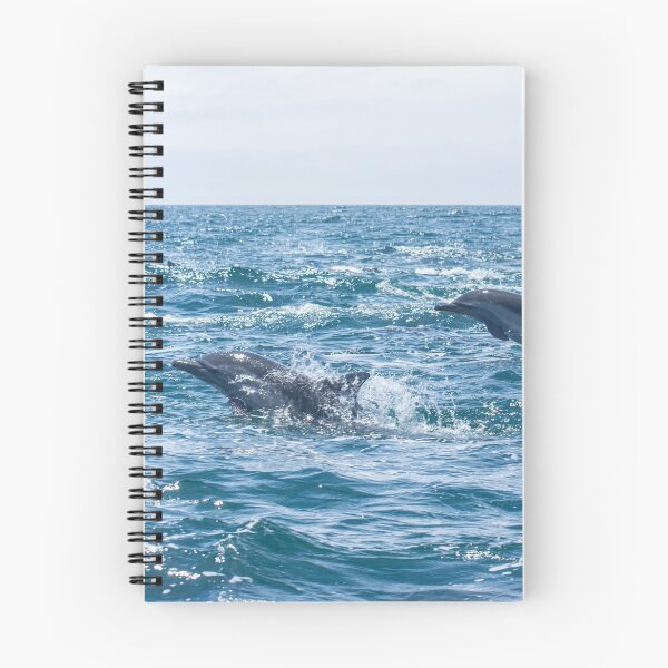 Item preview, Dolphins in Monterey Bay 3 designed and sold by Paige Isovitsch.