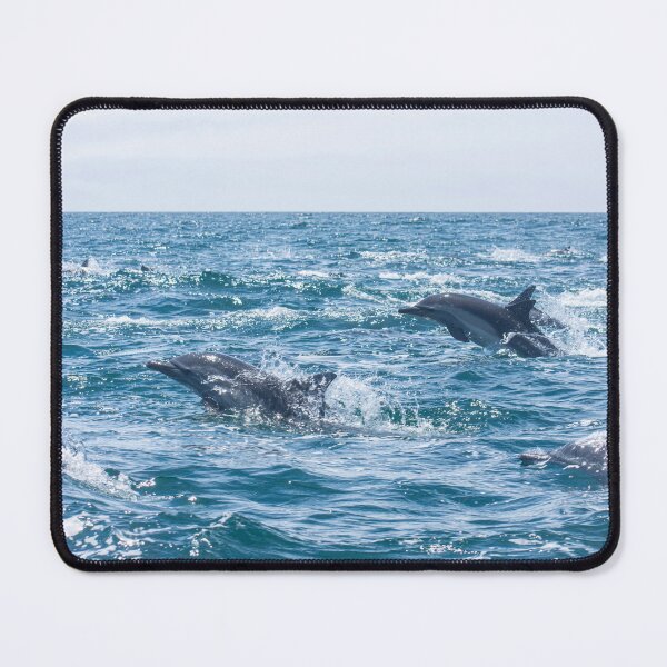 Item preview, Delfines en la Bahía de Monterey 3 designed and sold by Paige Isovitsch.