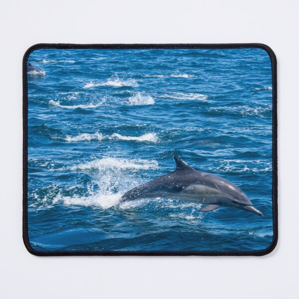 Item preview, Dolphin in Monterey Bay designed and sold by Paige Isovitsch.