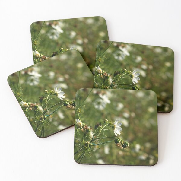 Item preview, Whit Flower in Sun designed and sold by JadeRiverImages.