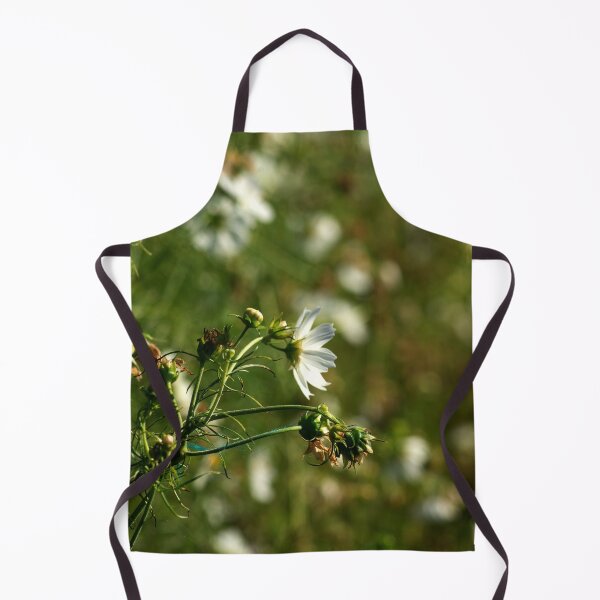 Artikelvorschau, Pfingstblume in der Sonne entworfen und verkauft von JadeRiverImages.