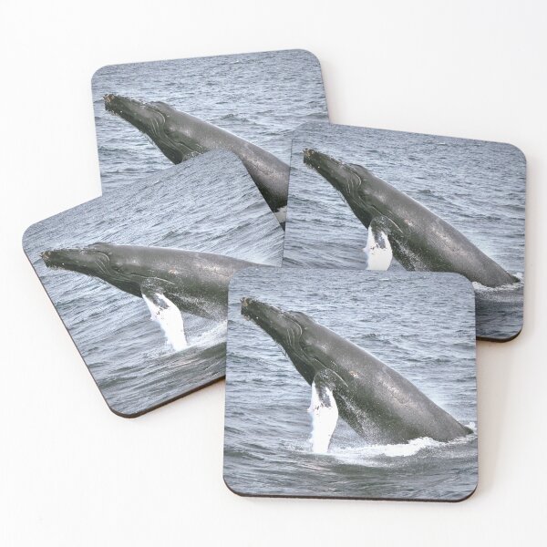 Item preview, Juvenile Humpback Whale   designed and sold by Jessica Bethoney.