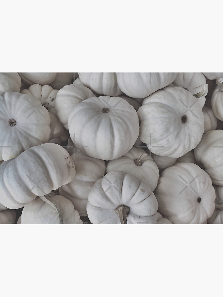 Thumbnail 3 of 3, Journal, Elegant White Pumpkins designed and sold by OneDayArt.
